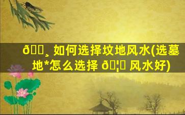 🌸 如何选择坟地风水(选墓地*
怎么选择 🦊 风水好)
